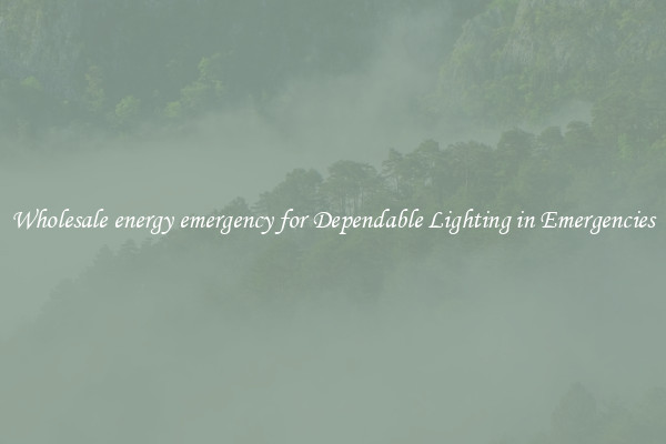 Wholesale energy emergency for Dependable Lighting in Emergencies