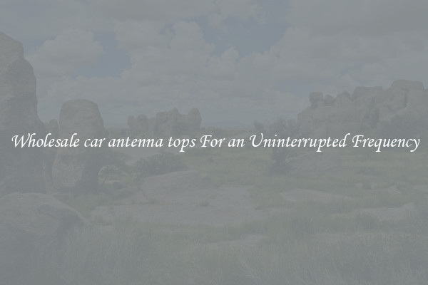 Wholesale car antenna tops For an Uninterrupted Frequency