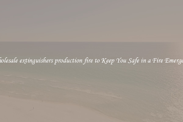 Wholesale extinguishers production fire to Keep You Safe in a Fire Emergency