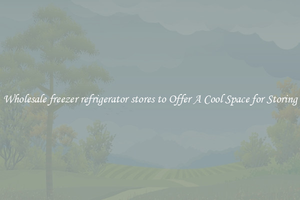 Wholesale freezer refrigerator stores to Offer A Cool Space for Storing