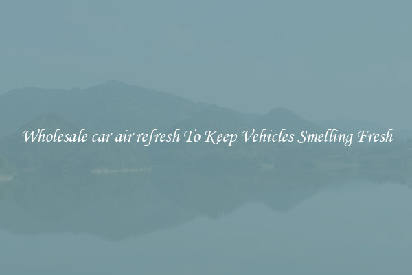 Wholesale car air refresh To Keep Vehicles Smelling Fresh