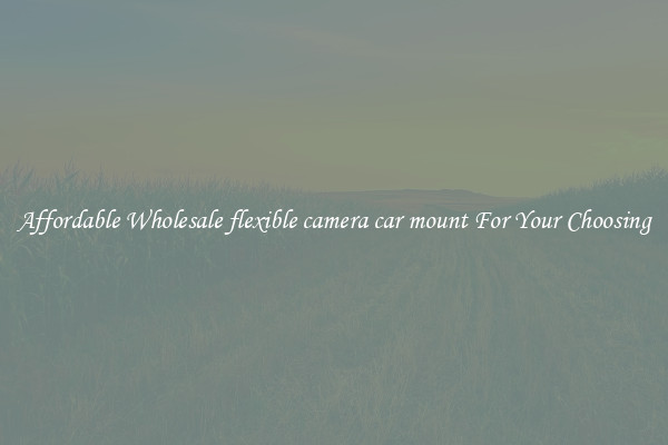 Affordable Wholesale flexible camera car mount For Your Choosing