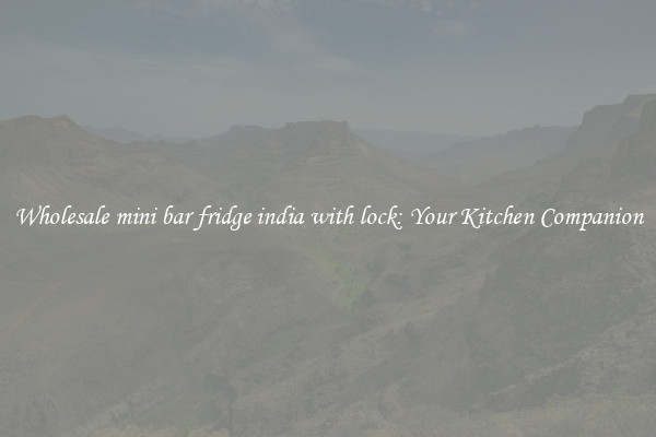 Wholesale mini bar fridge india with lock: Your Kitchen Companion