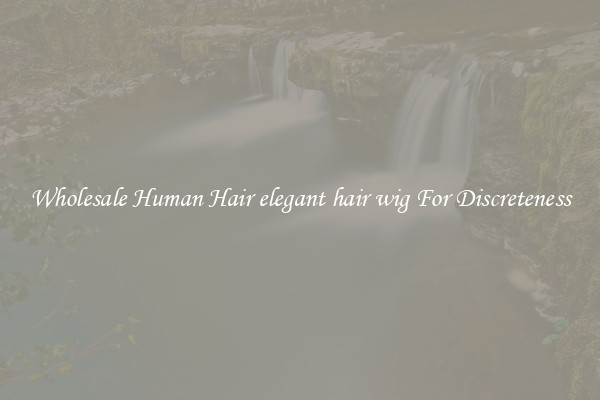 Wholesale Human Hair elegant hair wig For Discreteness