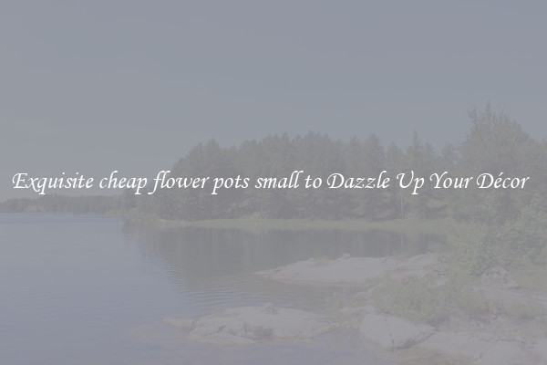 Exquisite cheap flower pots small to Dazzle Up Your Décor  
