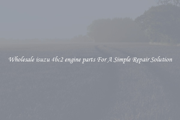 Wholesale isuzu 4bc2 engine parts For A Simple Repair Solution