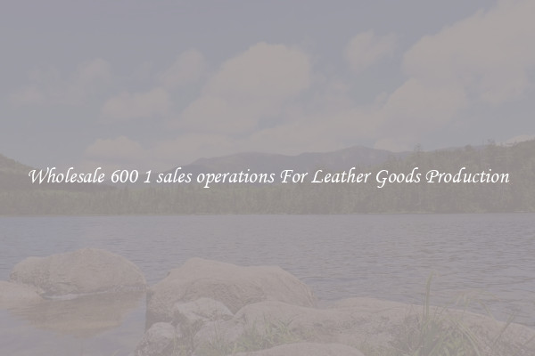 Wholesale 600 1 sales operations For Leather Goods Production