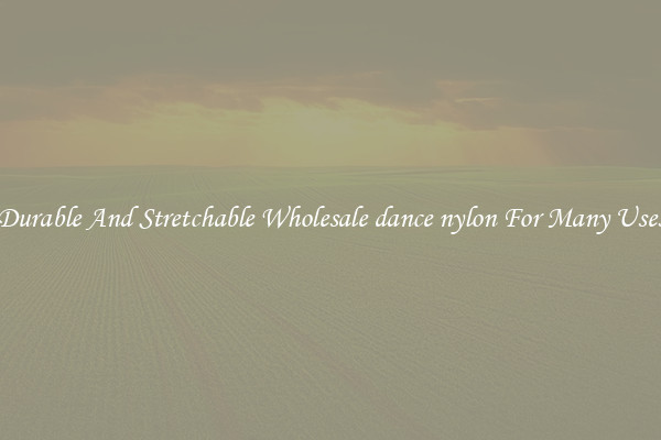 Durable And Stretchable Wholesale dance nylon For Many Uses