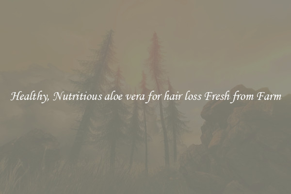 Healthy, Nutritious aloe vera for hair loss Fresh from Farm