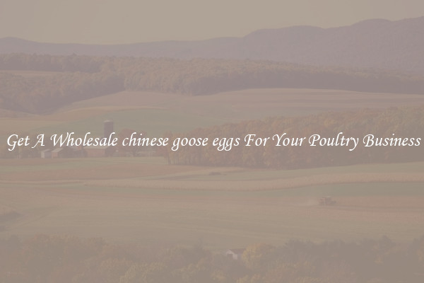 Get A Wholesale chinese goose eggs For Your Poultry Business