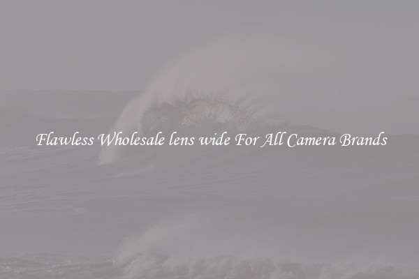 Flawless Wholesale lens wide For All Camera Brands