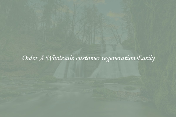 Order A Wholesale customer regeneration Easily