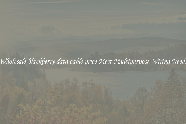 Wholesale blackberry data cable price Meet Multipurpose Wiring Needs