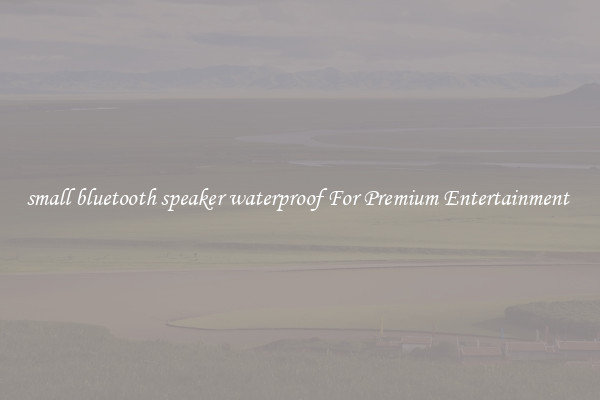 small bluetooth speaker waterproof For Premium Entertainment 