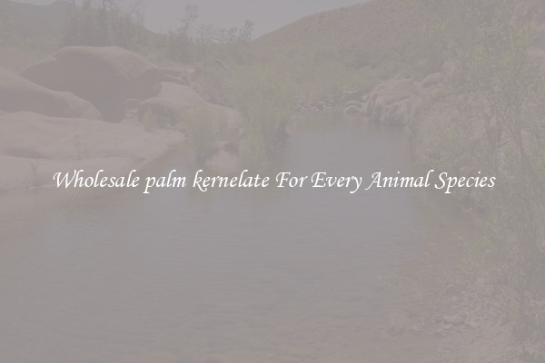 Wholesale palm kernelate For Every Animal Species